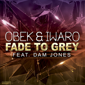 Fade to Grey (Dub Mix)