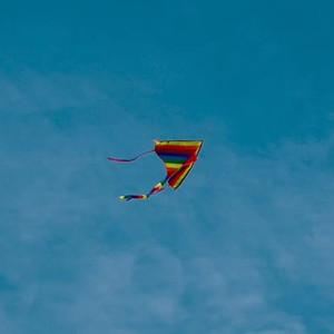 风筝飘啊飘（ 抖音热播版 ）