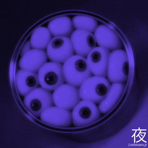 心地よい居场所(comfort Zone)