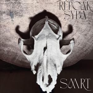 smrt (feat. Frěmel Big G)