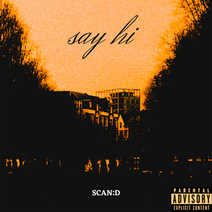 Traveling to Copenhagen