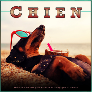 Chien