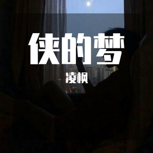 侠的梦