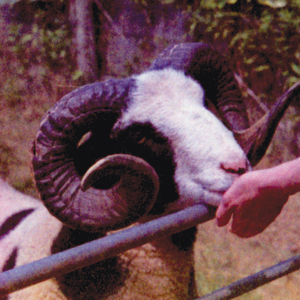 Bayou Goula / Glisser