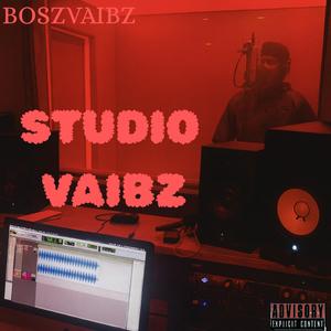 STUDIO VAIBZ