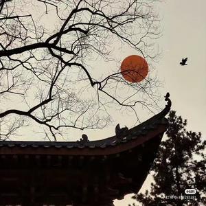 鲁郡东石门送二杜甫