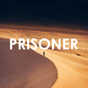 Prisoner (Remix)
