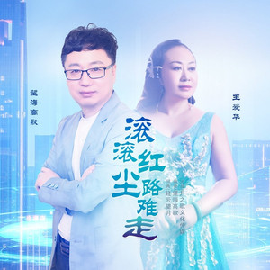 滚滚红尘路难走 (DJ版)