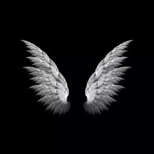 天下的乌鸦一般黑