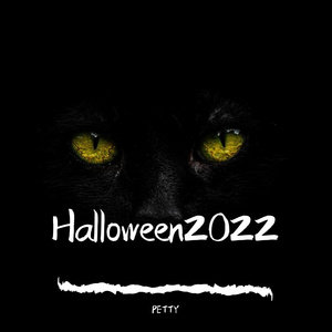 Lizz Robinett-Hide and Seek（PETTY remix）