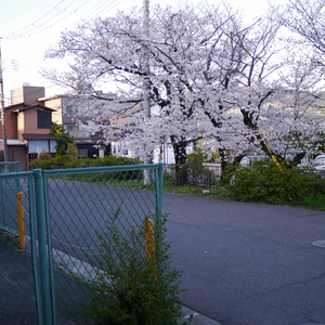 飛び出してみる