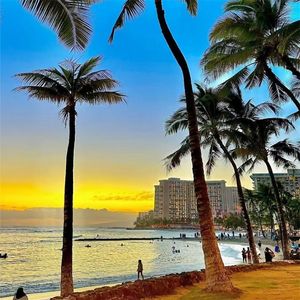 红尘纷纷梦难续