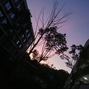 鱼玄机（翻自 三四ve）