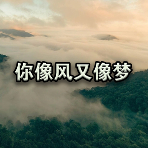 你像风又像梦