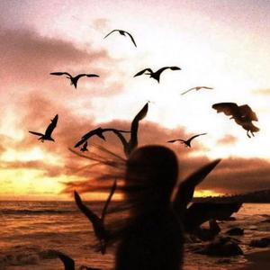 私有月亮（0.9）