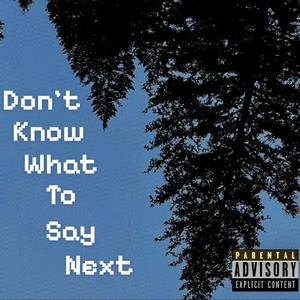 Don't Know What To Say Next