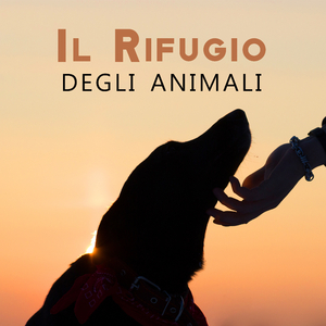 Riposo in hotel per cani
