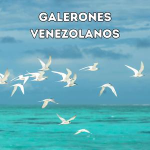 Nuestro galeron (En vivo)