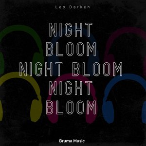 Dim Silence Under Lantern