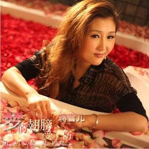 梦的翅膀受了伤 (DJ版)