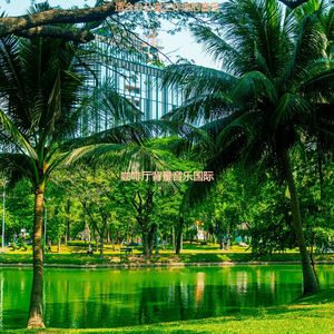 办公事务轻快的爵士