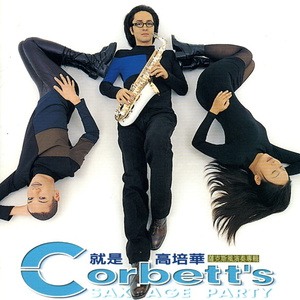 I'll Never Fall In Love Again