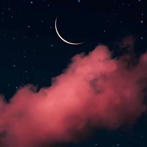 这城市风总是很大全