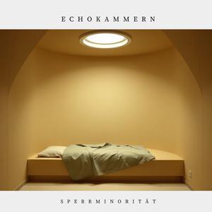 Echokammern