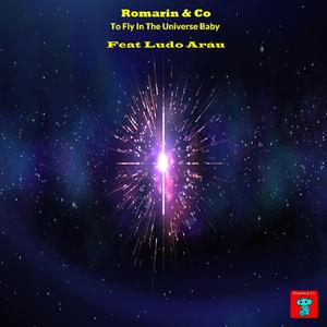 To Fly In The Universe