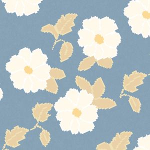 老友重逢的泪与忆