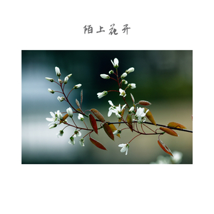 阳春白雪 (排箫)