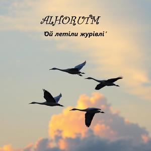 ОЙ ЛЕТІЛИ ЖУРАВЛІ (Ukrainian deep house) (Radio Edit)