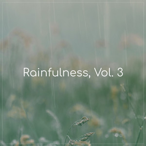 Rainy Day in Swedish Forest, Pt. 6