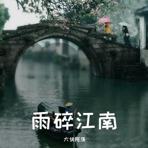 雨碎江南（二胡版）