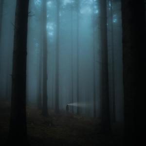 when there's no one in the forest (slowed & reverb)