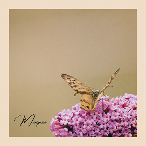 Mariposa