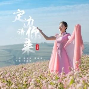 定边请你来