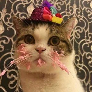 《课桌右下角》