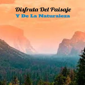 Disminuye La Presión Arterial