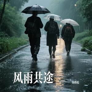 风雨共途