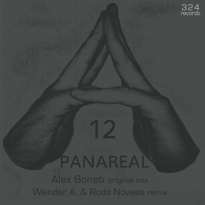 Panareal (Original Mix)