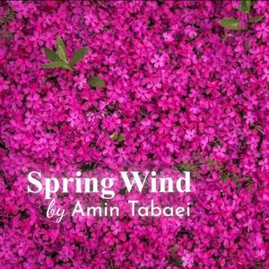 Spring Wind