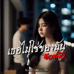 เธอไม่ใช่ของฉันอีกแล้ว