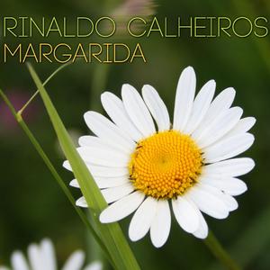 Margarida