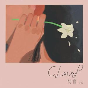 特写 （Close-Up）