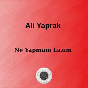 Ne Yapmam Lazım