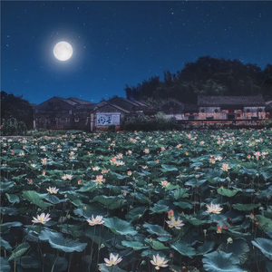 凤凰传奇 - 荷塘月色-DJ ADA/DJ JK Bootleg