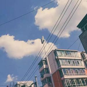 我对我喜欢的你 有点失望了（翻自 九玖橙儿）