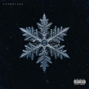 Snowflake (Work In Progress)