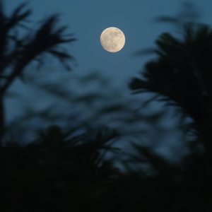 灵秀乐清湾（醉美乐清歌曲征集）